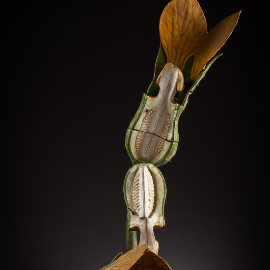 IES_ISABELLACATOLICA_BIOLOGIA_056