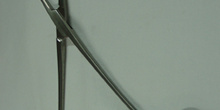 Pinza hemostática Babcock o farolillo