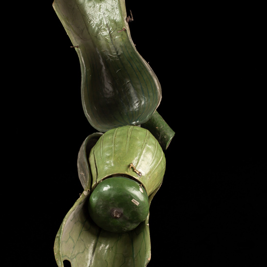 IES_ISABELLACATOLICA_BIOLOGIA_005