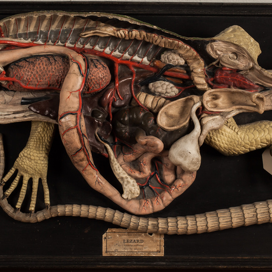 IES_SANISIDRO_BIOLOGIA_334