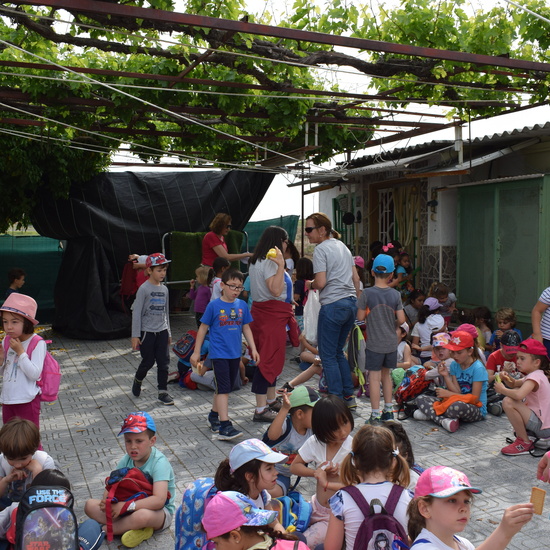 Siembra Huerta Balta 5 años 2018 37