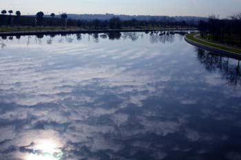 Estanque, Parque Juan Carlos I, Madrid