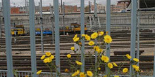 Vías férreas de la estación de Atocha, Madrid