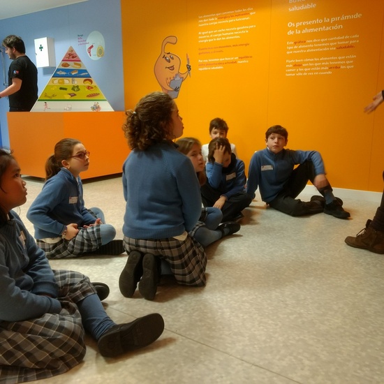 Aula Salud 4º EP marzo 2018_2 10