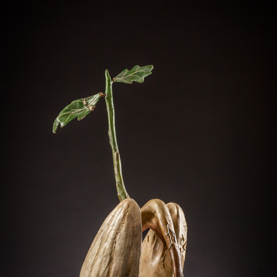 IES_ISABELLACATOLICA_BIOLOGIA_183