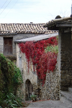 Detalle de casa con vegetación, Huesca