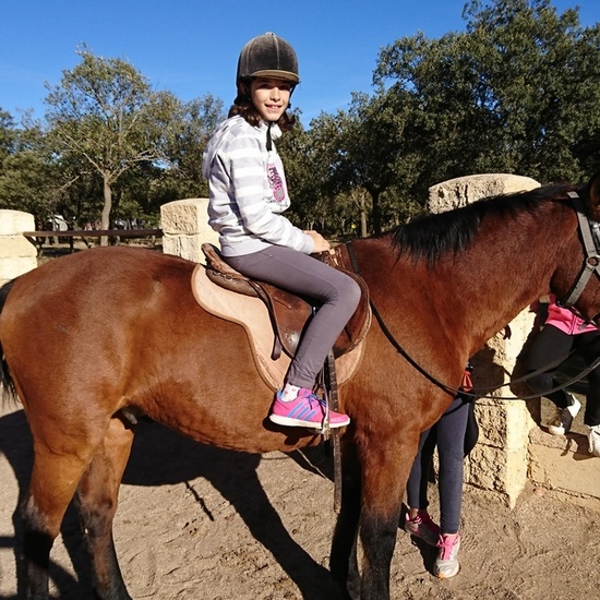 Mohernando 2017_2 18