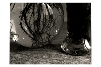 Detalle de dos jarrones de cristal