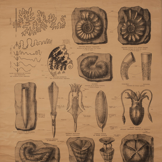 IES_RAMIRODEMAEZTU_BIOLOGIA_036