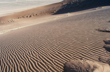 Ondulaciones de arena en escorzo, Namibia