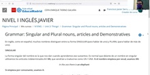 Singular & plural nouns. Demonstratives NI