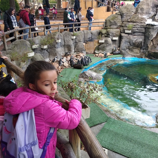 Visita al zoo 2019 10