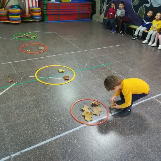 Día 05 de noviembre 5