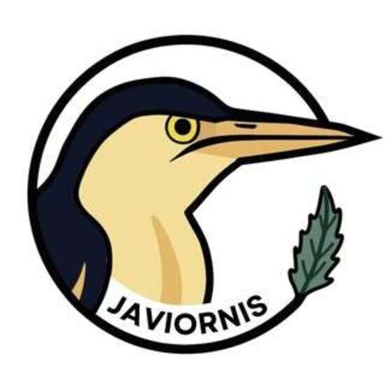 Logo @javiornis_