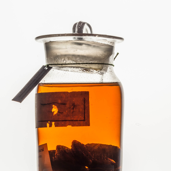 IES_CARDENALCISNEROS_CIENCIASNATURALES_262