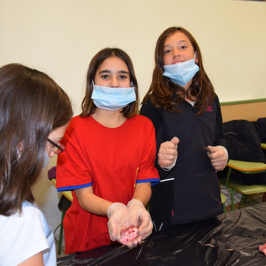 2016_12_02_Diseccion de corazon y pulmones_Sexto 42