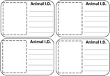 Animal ID