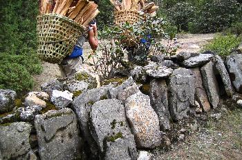 Gente cargando leña
