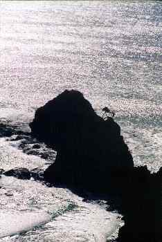 Cabo Reinga a contraluz, Nueva Zelanda