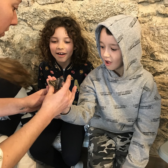 2020_02_27_3º visita Insectpark (5)_CEIP FDLR_Las Rozas 7