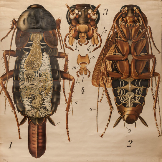 IES_RAMIRODEMAEZTU_BIOLOGIA_039