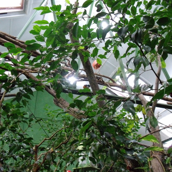 GRANJA DE LOS CUENTOS - ED.INFANTIL  39