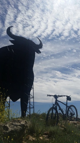 El toro y la bici
