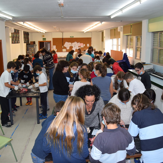 2016_12_02_Diseccion de corazon y pulmones_Sexto 38