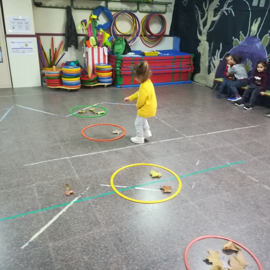 Día 05 de noviembre 2