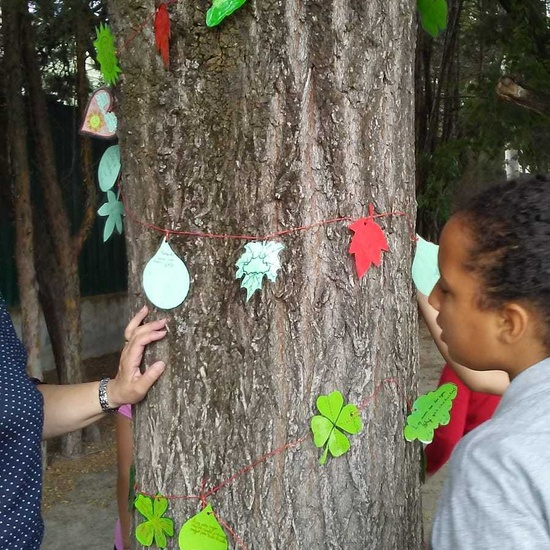 Actividades singulares 2018 4