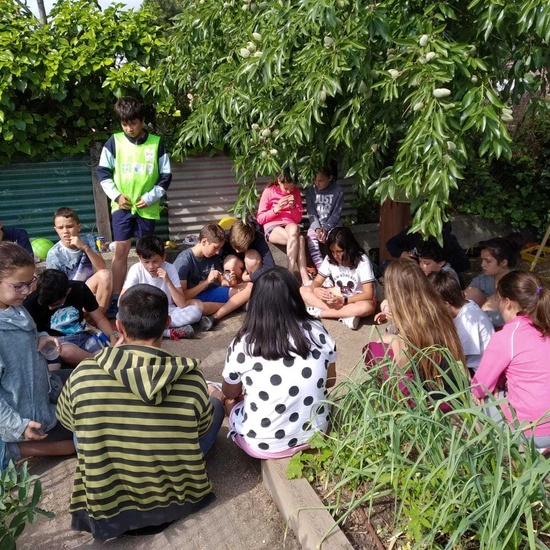 2019_06_07_Los alumnos de Quinto observan los insectos del huerto_CEIP FDLR_Las Rozas 12