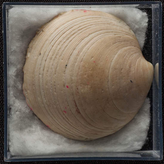 IES_ISABELLACATOLICA_BIOLOGIA_417