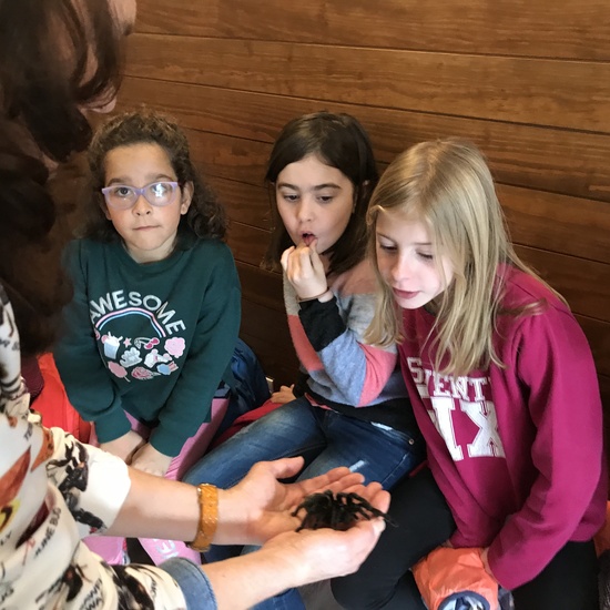 2020_02_27_3º visita Insectpark (5)_CEIP FDLR_Las Rozas 22