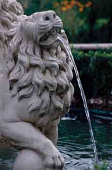 Jardines de Hamilton