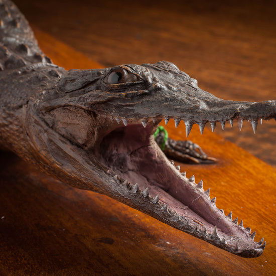 IES_CARDENALCISNEROS_CIENCIASNATURALES_305