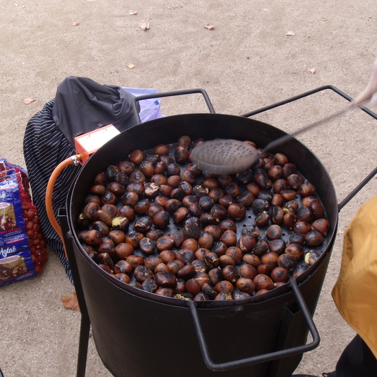 FIESTA OTOÑO 2019 (INFANTIL) 5