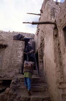 Trabajadoras acarreando piedra en el Palacio de Leh, Ladakh, Ind