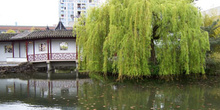 Parque Dr. Sun Yant-Sen en Chinatown, Vancouver