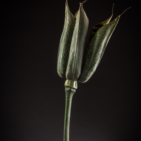 IES_ISABELLACATOLICA_BIOLOGIA_099