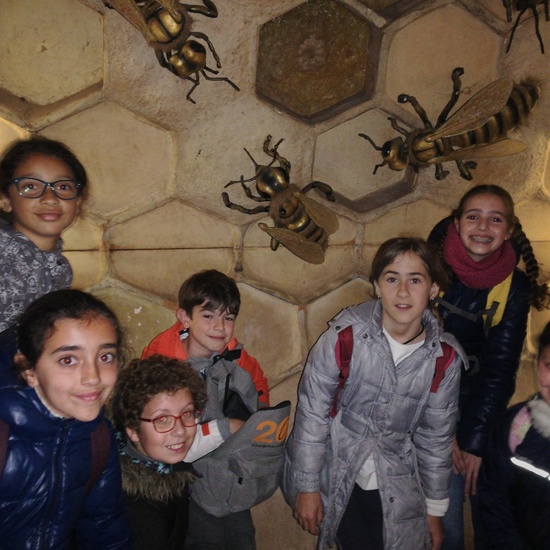 FAUNIA. 5º curso 12