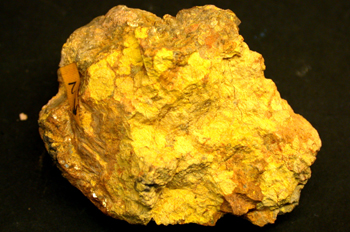 Phuralumita (amarillo)