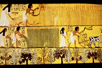 Faenas en el campo, Egipto