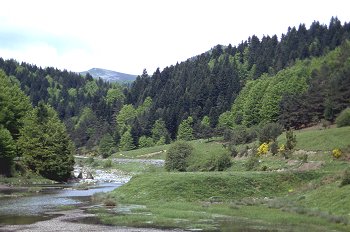 Bosque de Irati. Cauce del río