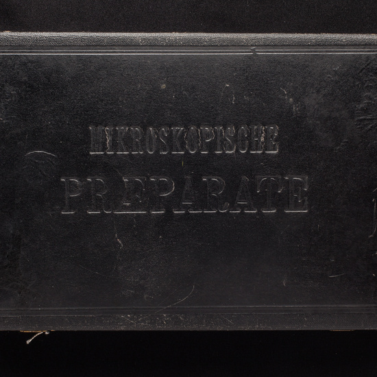 IES_ISABELLACATOLICA_BIOLOGIA_217