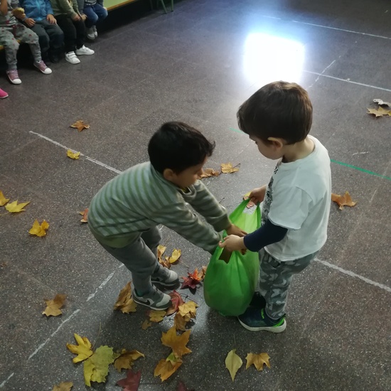 Día 05 de noviembre 24