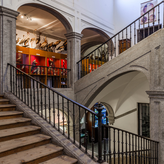 IES_SANISIDRO_EDIFICIO_023