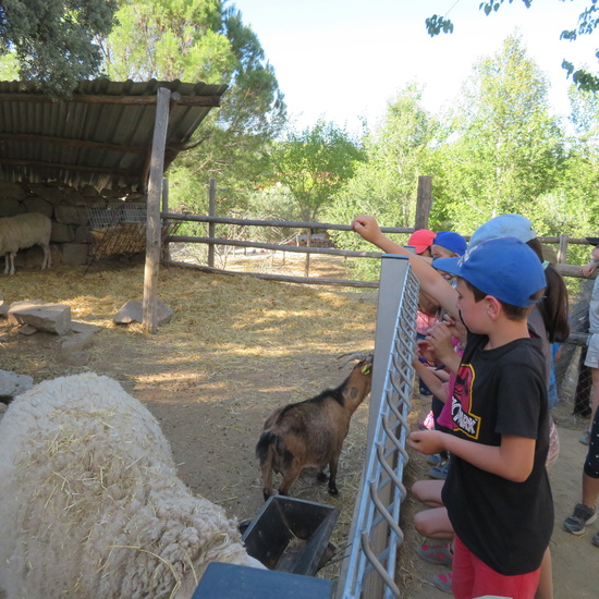 Granja Nuestra Tierra martes 11 22
