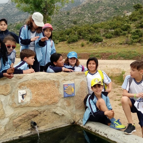 Camino de Santiago 29