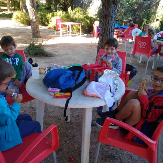 Excursión bosque encantado 19