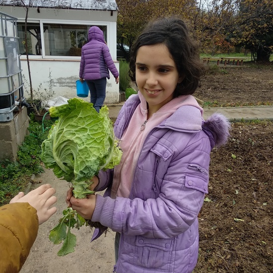 Albergue 5º- 3º día (mañana) 18